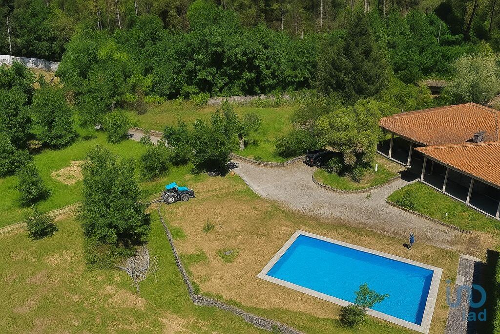 4 bedrooms House in Sao Pedro do Sul, Portugal No. 316865