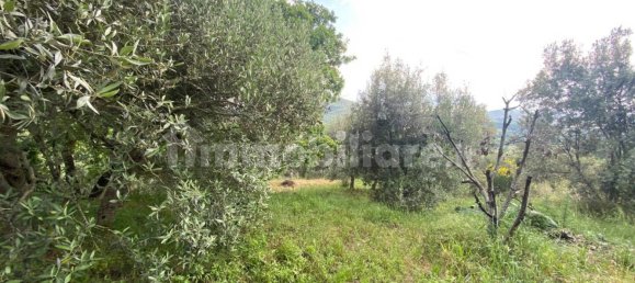 4 chambres Maison à Panicale, Italy No. 121144 50