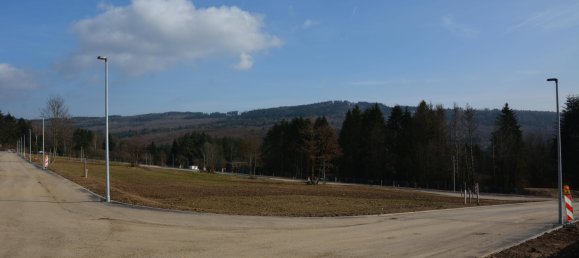 قطعة أرض في Hochtaunuskreis, Germany رقم 66106 2