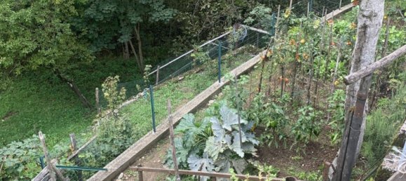 3-Zimmer Haus in Vicenza, Italy, Nr. 297073 12