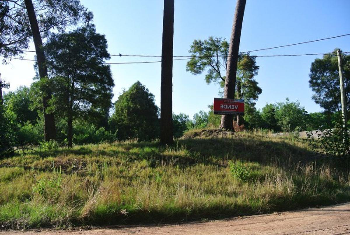 Terreno en Maldonado, Uruguay No. 14164
