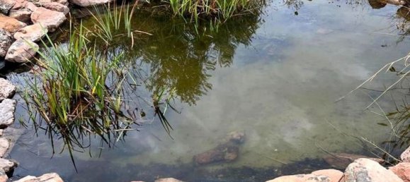  قطعة أرض في Linares, Spain رقم 154774 7