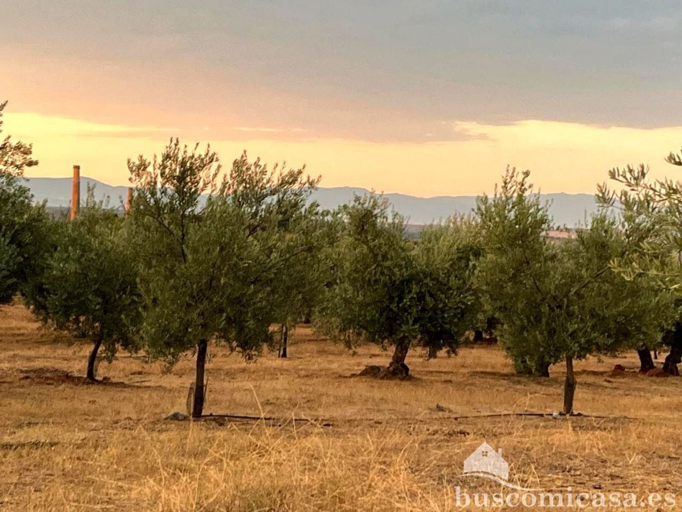  قطعة أرض في Linares, Spain رقم 154774