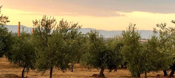  قطعة أرض في Linares, Spain رقم 154774 12