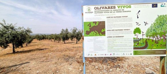  قطعة أرض في Linares, Spain رقم 154774 9