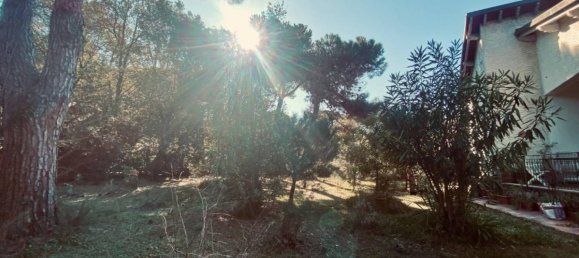 4 bedrooms Villa in Massa, Italy No. 215066 5