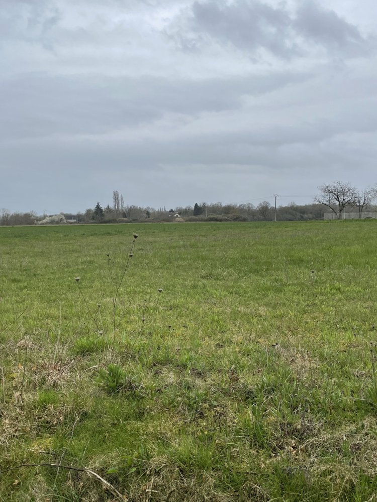  Land in Beaulieu-sur-Loire, France No. 78877