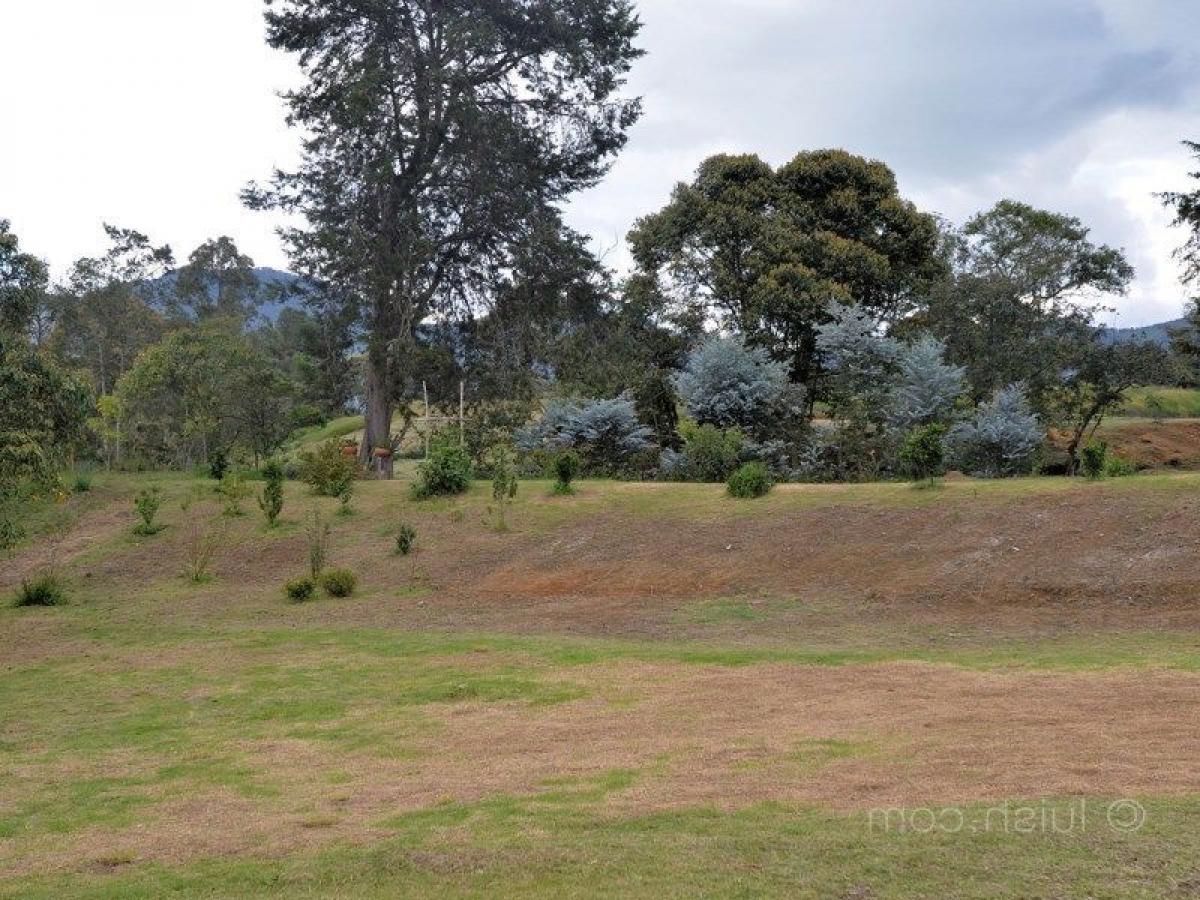  Land in Antioquia, Colombia No. 108