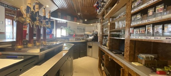 Propriété commerciale à Artolsheim, France 250m² No. 224022 16