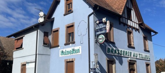 Propriété commerciale à Artolsheim, France 250m² No. 224022 20