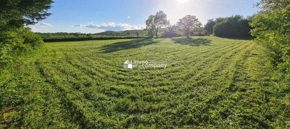 Terrain à Eisenstadt Umgebung, Austria No. 137512 2