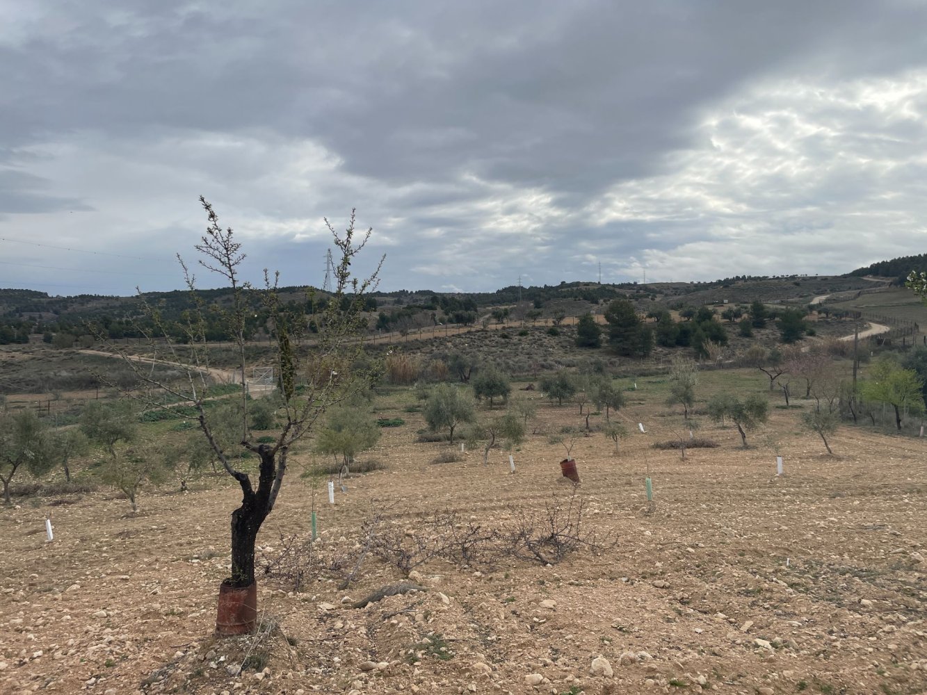 Grundstück in Toledo, Spain 5094m², Nr. 234190