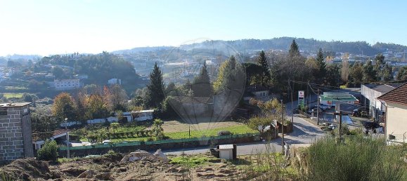 Grundstück in Vilela, Portugal 2009m², Nr. 51957 6