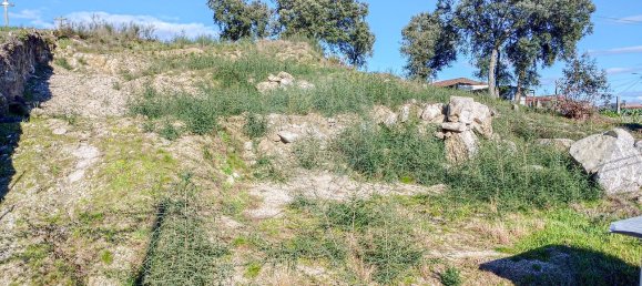 Grundstück in Vilela, Portugal 2009m², Nr. 51957 13