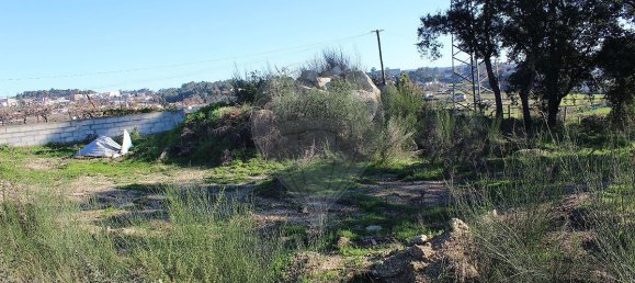 Grundstück in Vilela, Portugal 2009m², Nr. 51957 5