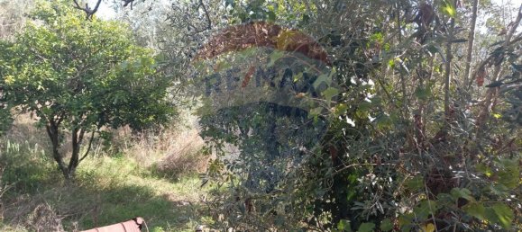 Дом с 1 спальней в Алваязери, Португалия № 33468 5