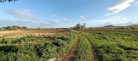 7غرفة منزل في Treia, Italy رقم 232958 19