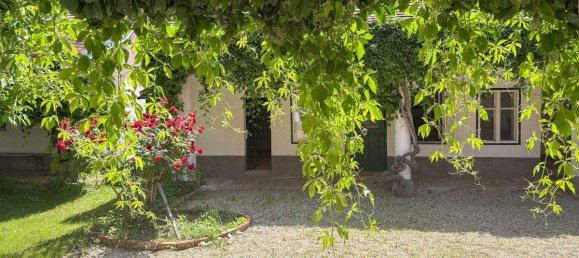 6 rooms House in Guntersdorf, Austria No. 159423 11