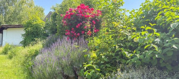 6 rooms House in Guntersdorf, Austria No. 159423 18