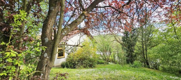 8غرفة منزل في Coburg, Germany رقم 241797 13