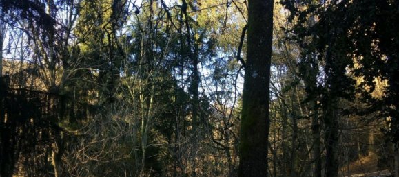 Земельный участок в Арвайлер, Германия № 219253 2