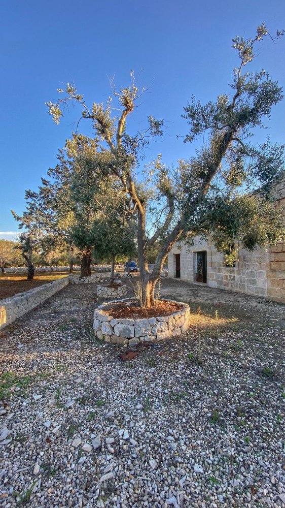 2 bedrooms House in Carovigno, Italy No. 390866