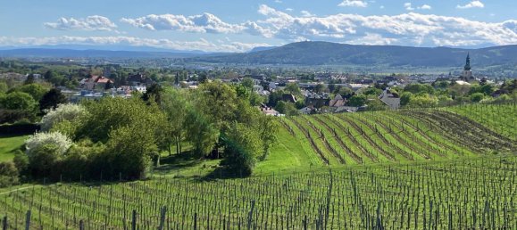 4 rooms Apartment in Baden, Austria No. 175700 2