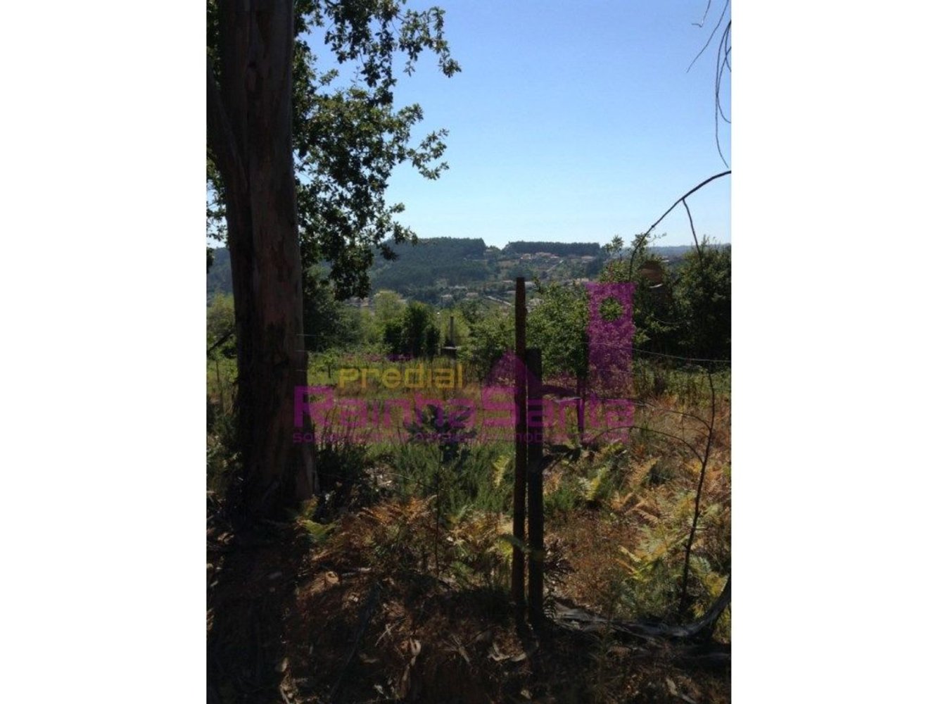  Land in Coimbra, Portugal No. 198893