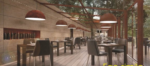 Gewerbliche Immobilie in Florence, Italy 250m², Nr. 12068 14