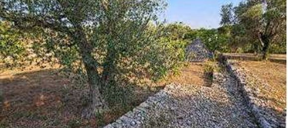 5 bedrooms House in Putignano, Italy No. 381734 7