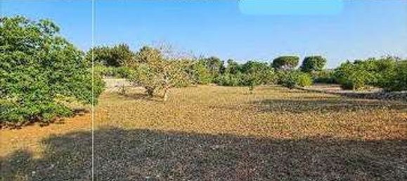 5 bedrooms House in Putignano, Italy No. 381734 8