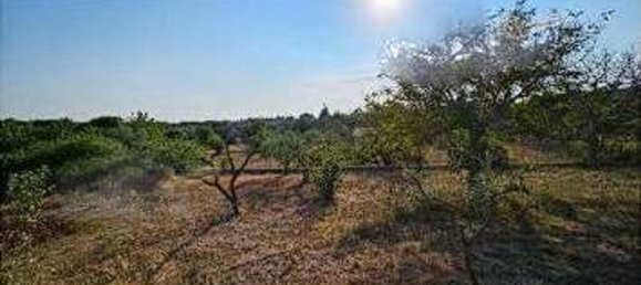 5 bedrooms House in Putignano, Italy No. 381734 9