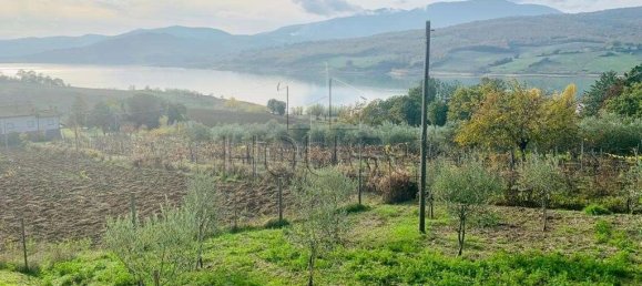 3 غرف نوم شقة في Sansepolcro, Italy رقم 62362 21