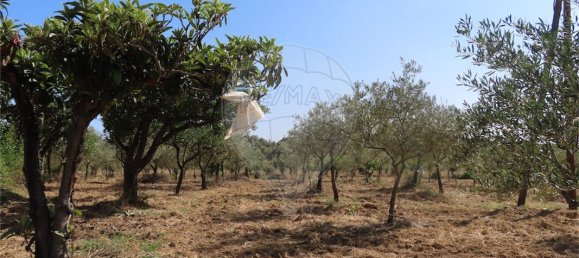 9 غرف نوم منزل في Idanha a Nova, Portugal رقم 62589 24