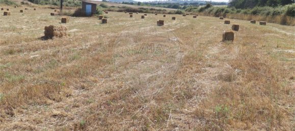 9 غرف نوم منزل في Idanha a Nova, Portugal رقم 62589 32