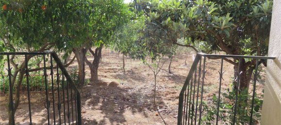 9 غرف نوم منزل في Idanha a Nova, Portugal رقم 62589 15