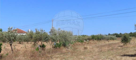 9 غرف نوم منزل في Idanha a Nova, Portugal رقم 62589 34