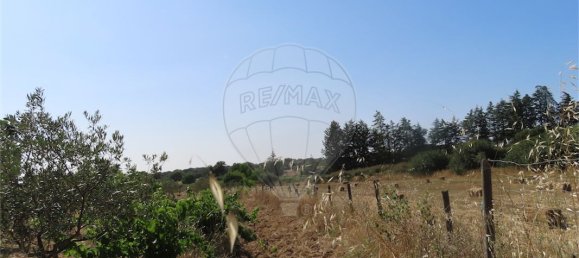 9 غرف نوم منزل في Idanha a Nova, Portugal رقم 62589 22