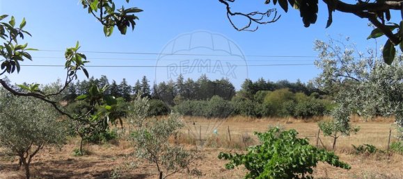 9 غرف نوم منزل في Idanha a Nova, Portugal رقم 62589 21