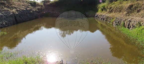 9 غرف نوم منزل في Idanha a Nova, Portugal رقم 62589 48