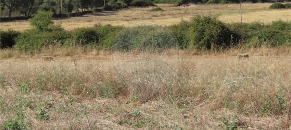 9 غرف نوم منزل في Idanha a Nova, Portugal رقم 62589 49