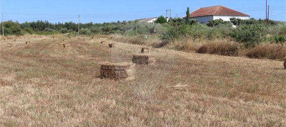 9 غرف نوم منزل في Idanha a Nova, Portugal رقم 62589 25