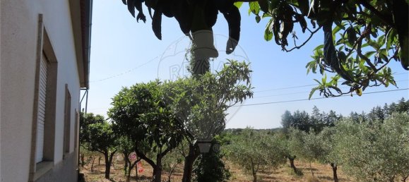 9 غرف نوم منزل في Idanha a Nova, Portugal رقم 62589 19