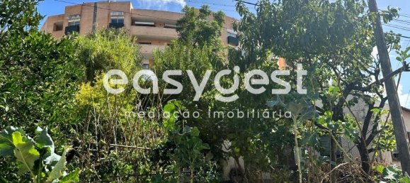 3 bedrooms House in Coimbra, Portugal No. 90621 6