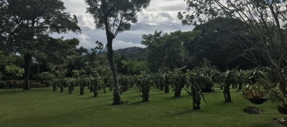 3 bedrooms House in Santa Ana, Costa Rica No. 442 2