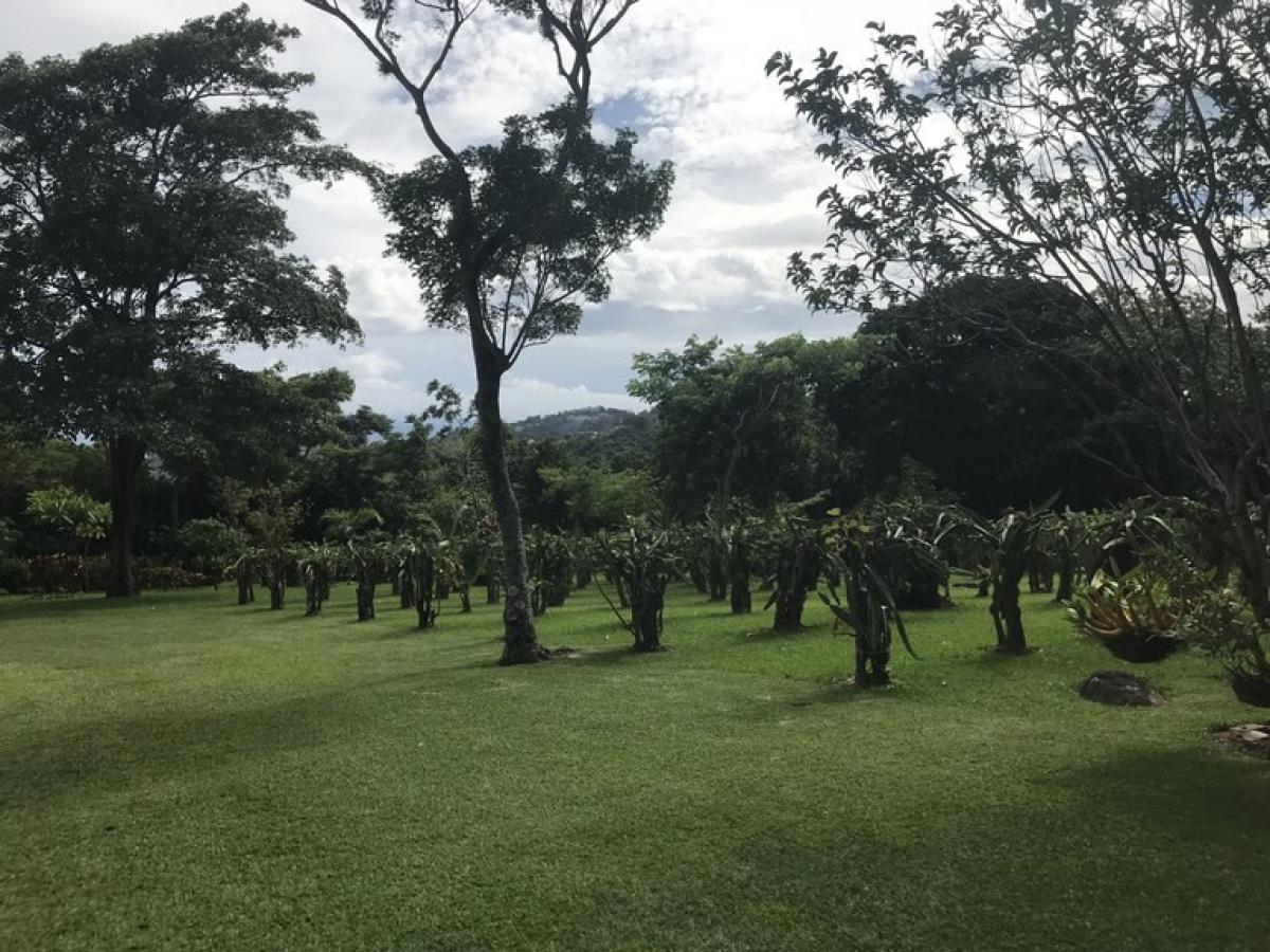 3 bedrooms House in Santa Ana, Costa Rica No. 442