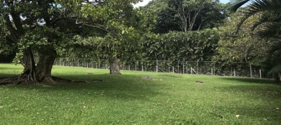 3 bedrooms House in Santa Ana, Costa Rica No. 442 6