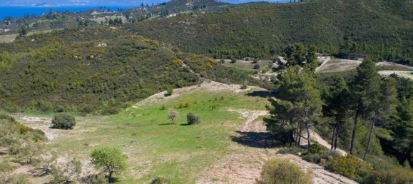 Hotel in Chalkidiki, Greece 6750m², Nr. 8078 2