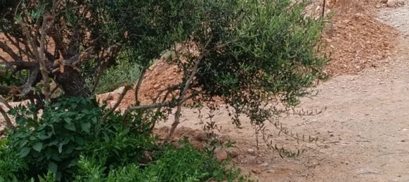 Terreno en Puerto Del Rosario, Spain 3075 m² No. 165380 73