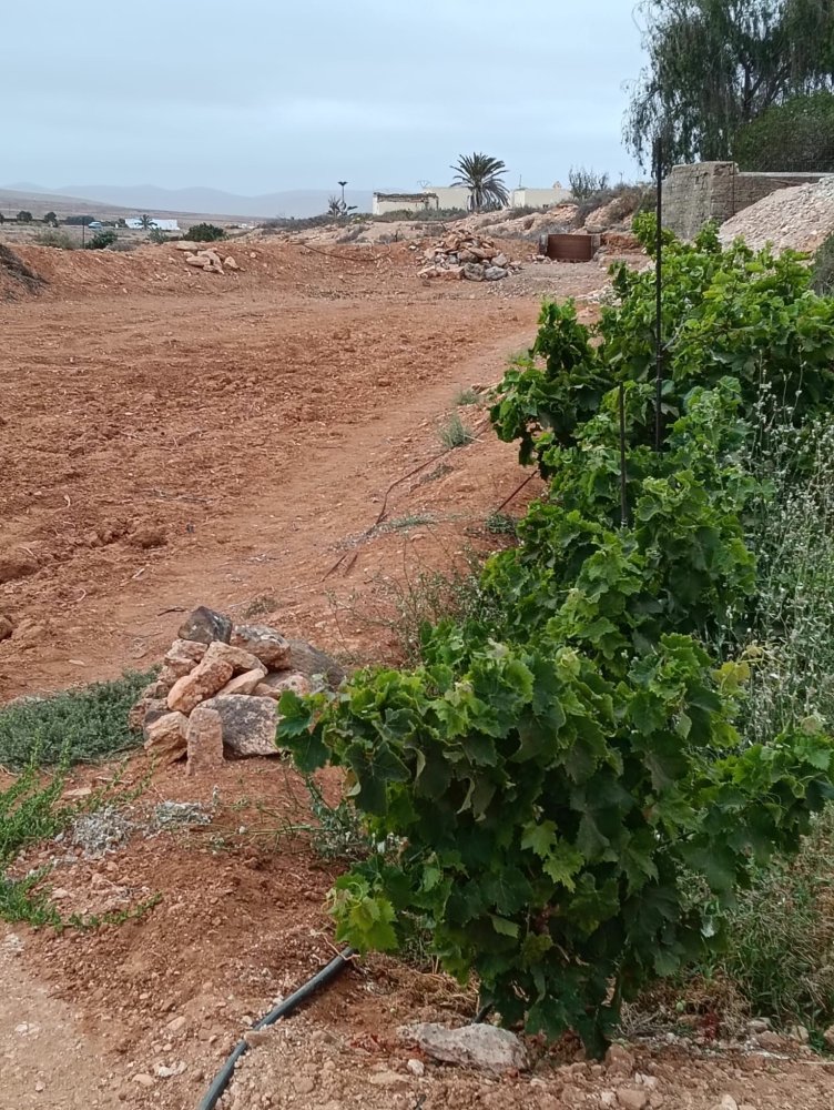 Terreno en Puerto Del Rosario, Spain 3075 m² No. 165380